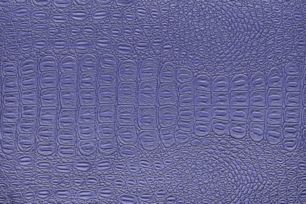 蓝色鳄鱼皮质地。设计的抽象背景。图片下载