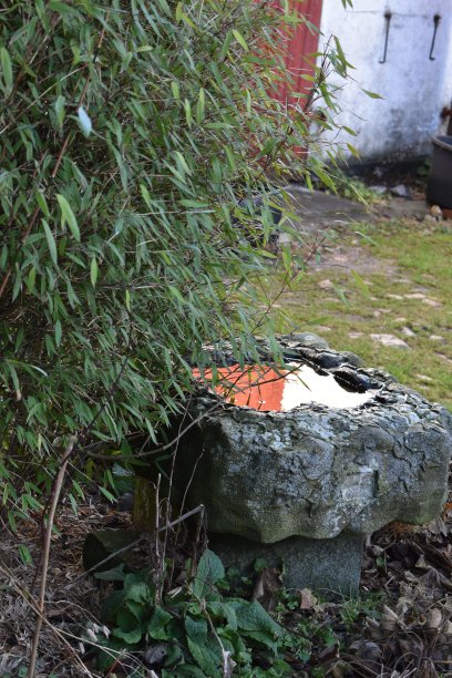 水盆里的水反射出了背景的红白两色——半白半红。图片下载