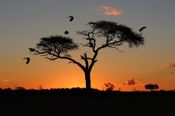 吓坏了图片下载