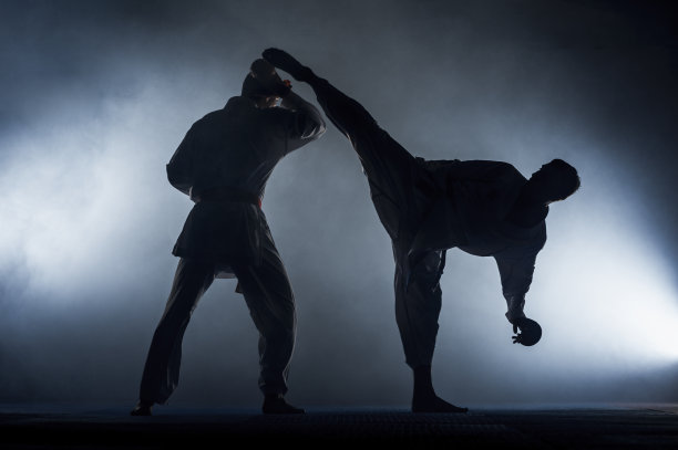 武术大师在健身房搏击训练图片下载