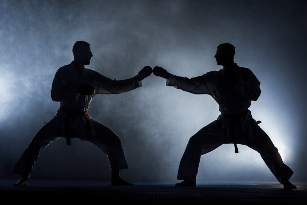 一位跆拳道武术大师的形象图片下载