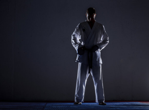 那个穿白和服黑带练空手道的家伙图片下载