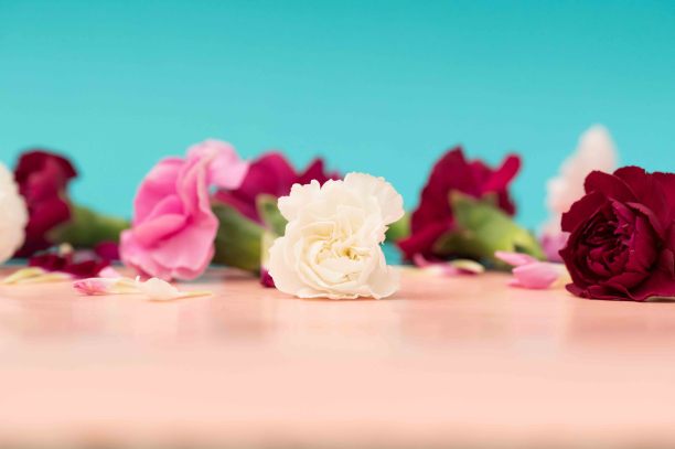 散落的花与蓝色绿松石背景图片下载