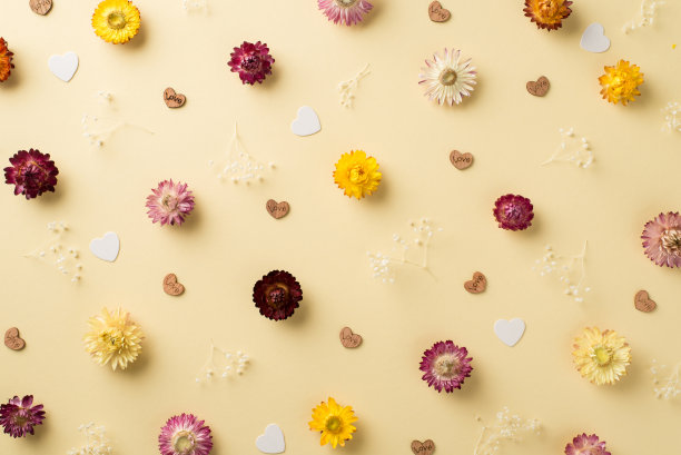 俯视图照片的女人的一天组成不同的颜色田野花和心在孤立的米色背景图片下载