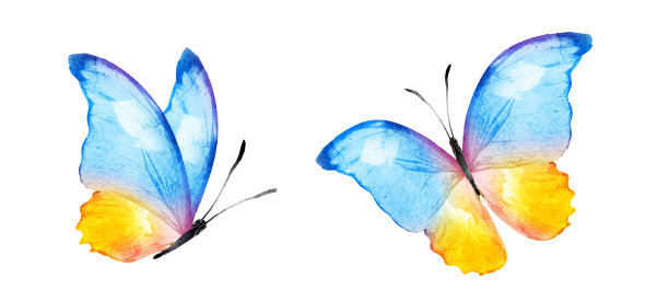 彩色水彩蝴蝶，孤立在白色背景上。集图片下载