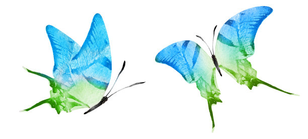 彩色水彩蝴蝶，孤立在白色背景上。集图片下载