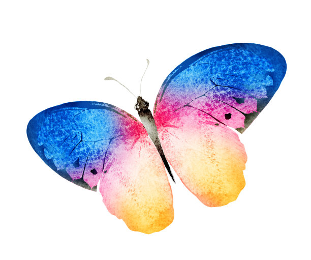 彩色水彩蝴蝶，孤立在白色背景上图片下载