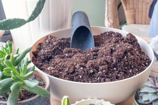 把土壤装在一个大容器里图片下载