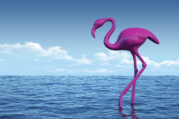 大海里粉红色火烈鸟的巨大身躯图片下载