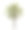 树木孤立在白色背景现实与阴影在高质量裁剪面具，热带树木用于广告设计和图形装饰图片下载