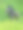这张照片是一只可爱的黑色拉布拉多犬坐在绿色的草地上仰视着相机图片下载