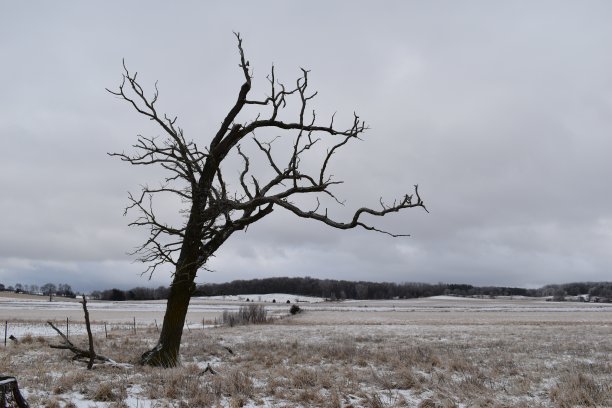 一树山图片下载