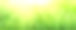绿草如茵的旗帜自然背景，春暖花开，选择性聚焦。图片下载