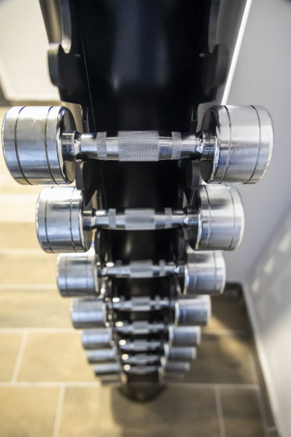 肌肉在哪里形成图片下载