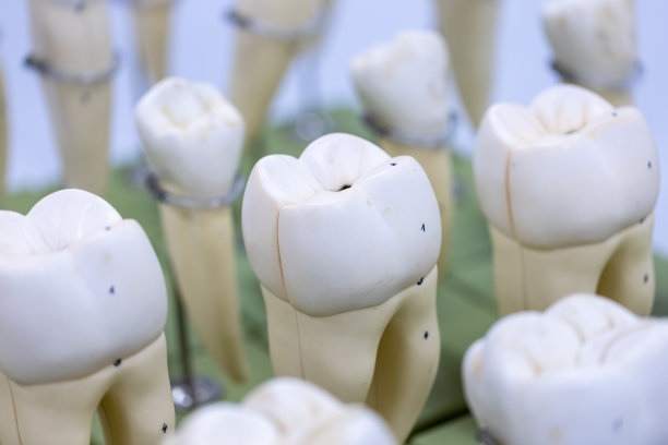 科学实验室人体部位模型的研究。图片下载