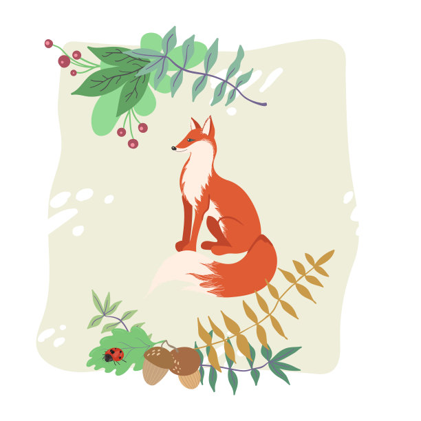 卡通森林狐狸与植物元素孤立在白色背景的明信片。图片下载