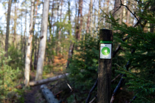 森林旅游步道、小径、路牌信息。哈尔姆斯塔德、瑞典图片下载