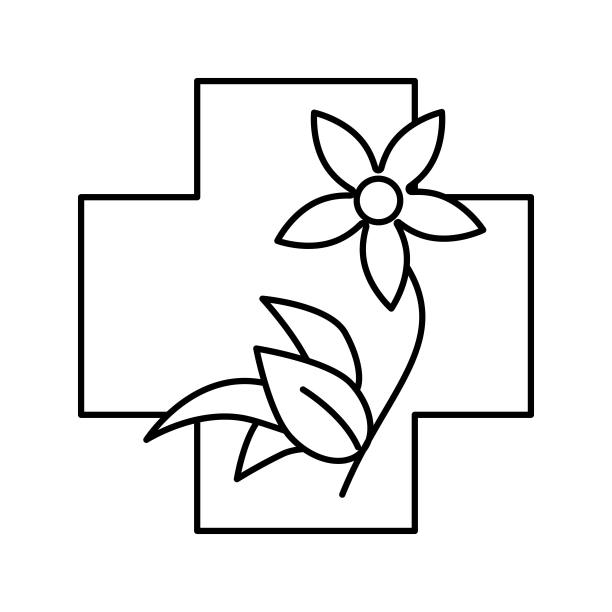 花自然顺势疗法药物线图标矢量插图图片下载