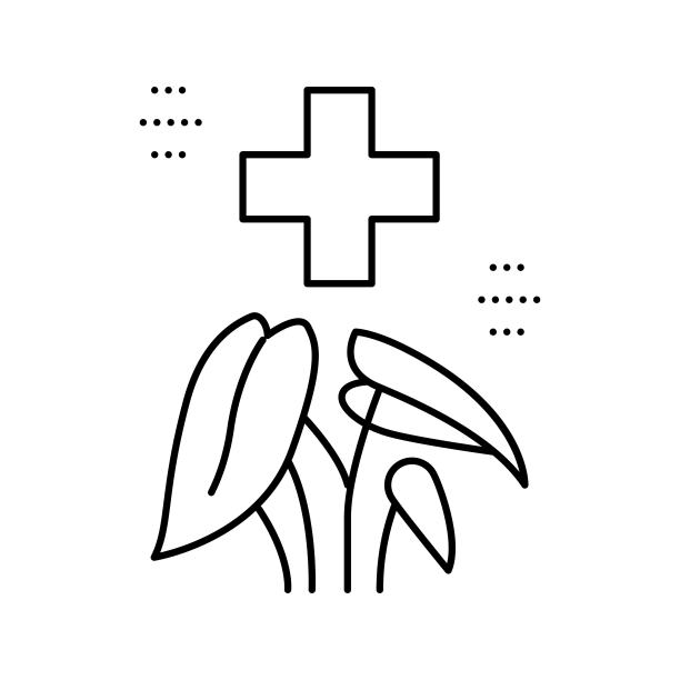 医疗保健植物治疗线图标矢量插图图片下载