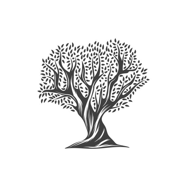 橄榄树的叶子图标，橄榄油蔬菜植物图片下载