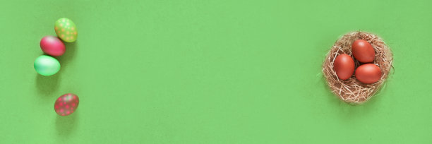 横幅与复活节彩蛋在一个巢上的绿色背景。最小的概念。前视图。有一个空间来复制图片下载