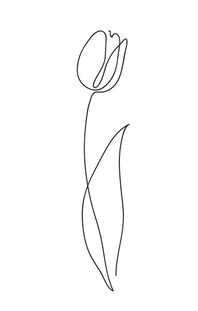 美丽的郁金香花。线条艺术概念设计。连续的线条画。程式化的花象征。矢量插图。图片下载