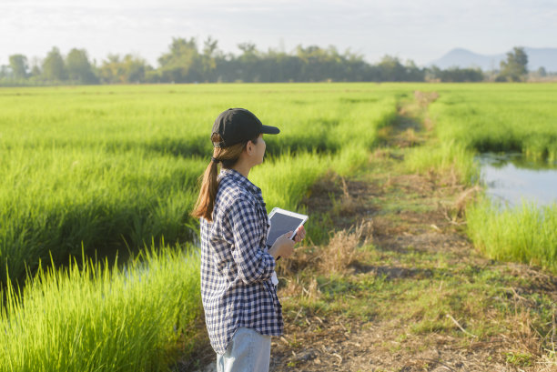 年轻的女性智能农民带着平板电脑在田里，高科技创新和智能农业图片下载