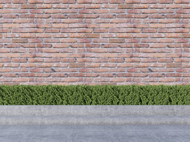 空砖墙外有灌木图片下载