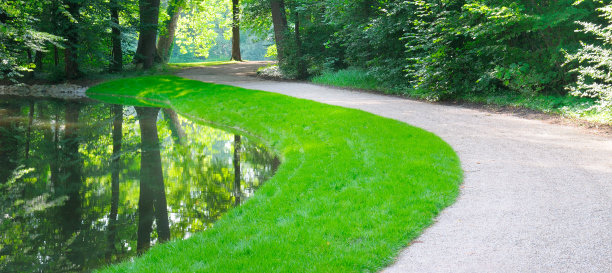 森林、湖泊和徒步旅行路线。美丽的风景。宽的照片。图片下载