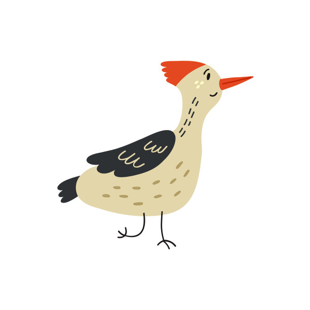 可爱的啄木鸟图片下载