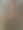 树皮一种潮湿、粗糙和深色的树皮图片下载