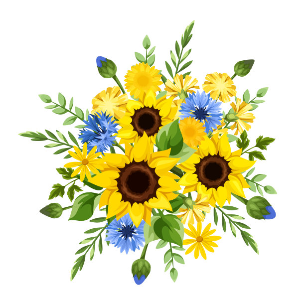 蓝色和黄色的花。向日葵，矢车菊和蒲公英的花束。矢量图图片下载