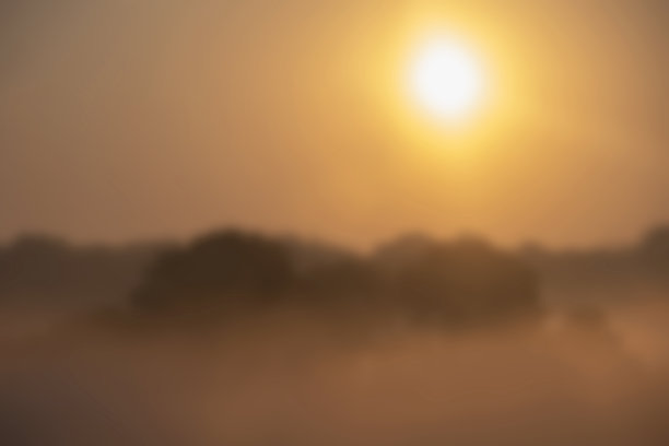 北欧国家不清晰的日光水稻照片图片下载