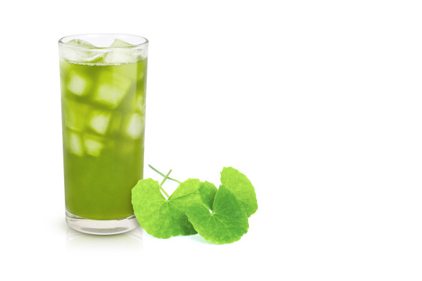 戈图科拉果汁冰茶与新鲜的绿叶(亚洲pennywort，积雪草)隔离在白色图片下载
