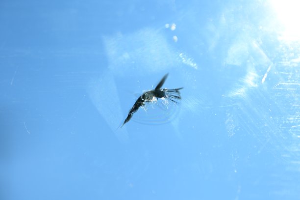 汽车挡风玻璃破碎，背景模糊图片下载