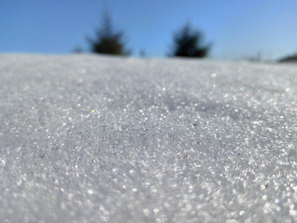 美好的一天图片下载