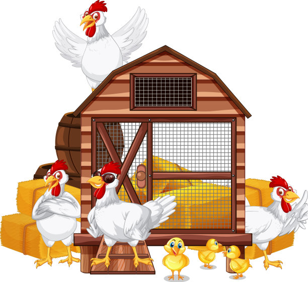 一个孤立的场景，一群鸡在里面图片下载