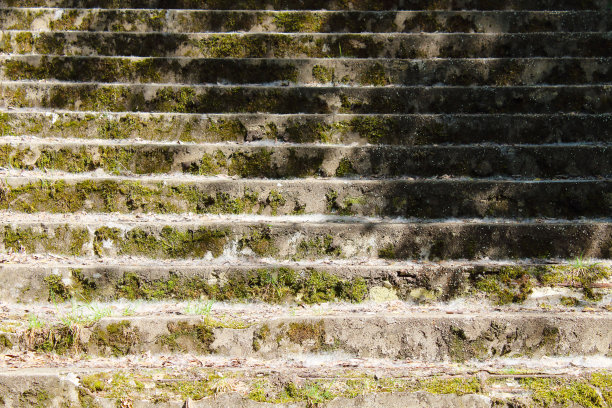 旧的混凝土前楼梯。楼梯。特写镜头。前视图。背景。纹理。图片下载