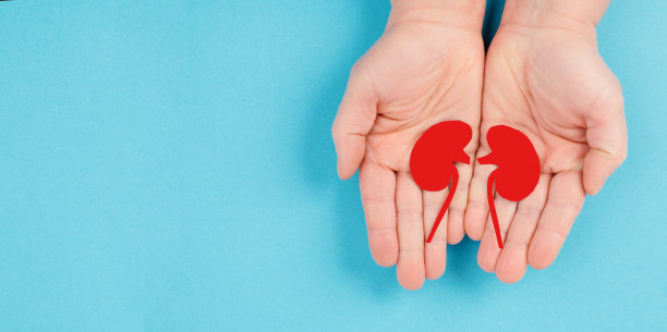 捧肾的手，剪纸，世界肾脏日，健康问题，器官移植，医学问题图片下载