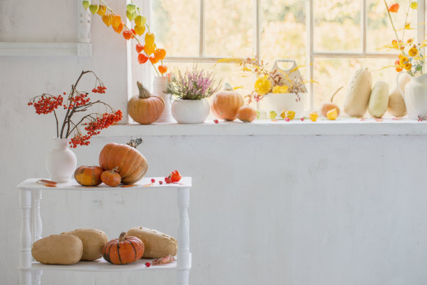秋天的自然装饰南瓜和花楸浆果在白色的背景图片下载