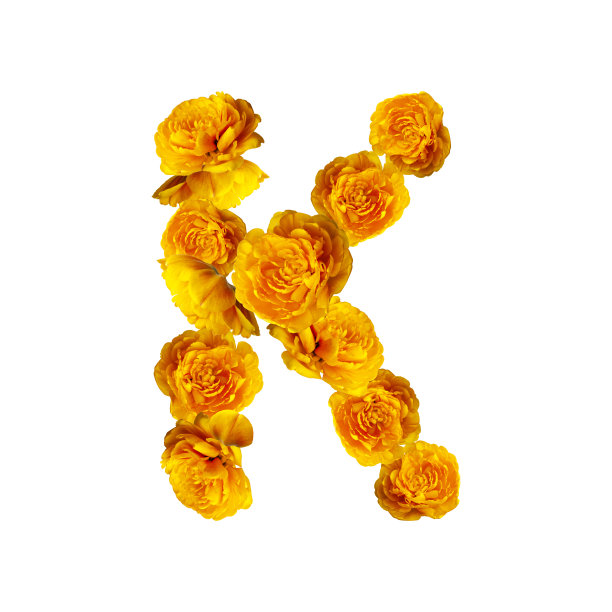由黄色郁金香制成的英文字母K。字母花孤立在白色背景，黄色的新鲜郁金香。信由天然材料，春天，盛开，花卉组成，布局图片下载