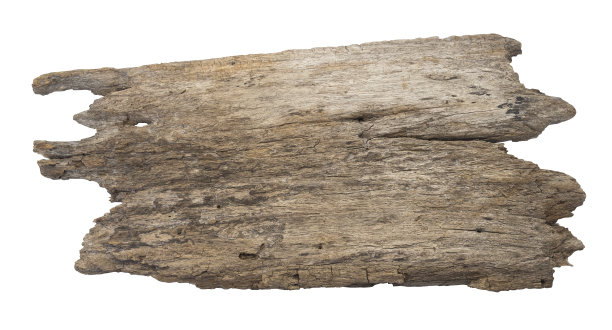 原木纹理孤立在白色背景，剪辑路径图片下载