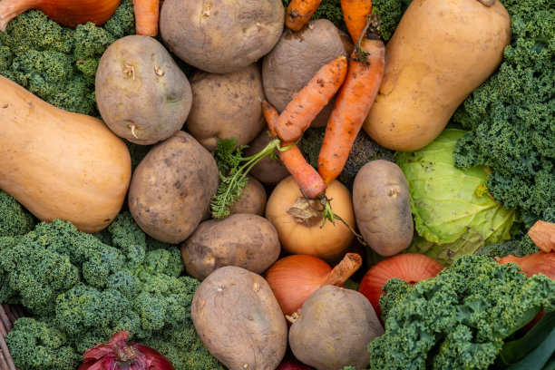 食品背景与各种新鲜的有机蔬菜图片下载