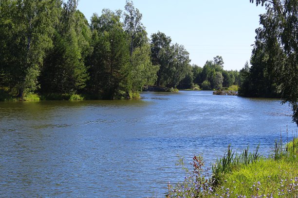 这条河在森林附近流过，是夏日美丽的风景图片下载