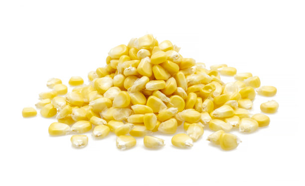 白色背景上的新鲜玉米图片下载