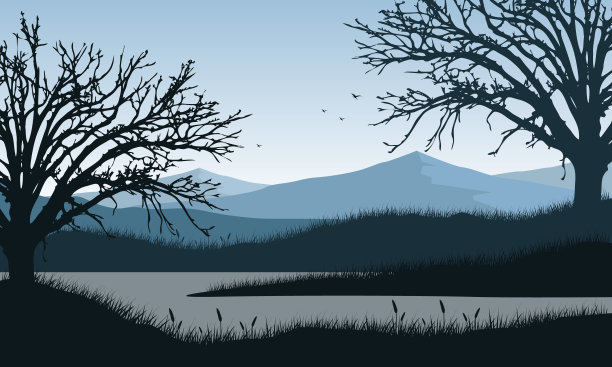 从河边俯瞰令人难以置信的山景，周围是美丽的干冷杉树图片下载