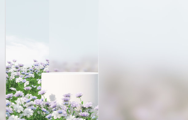 自然美丽的讲台背景与春天的玫瑰花场的景象。图片下载