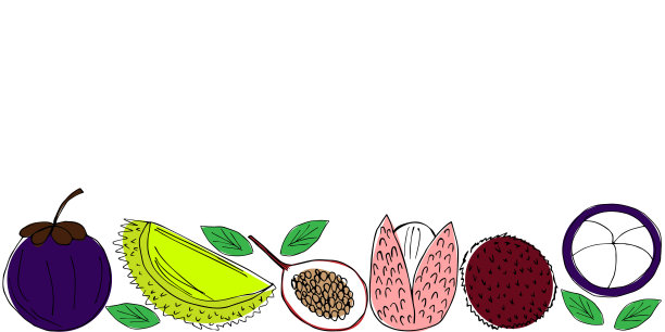 可爱的水平横幅手绘多色水果元素从百香果和山竹或荔枝的风格涂鸦概念设计图片下载