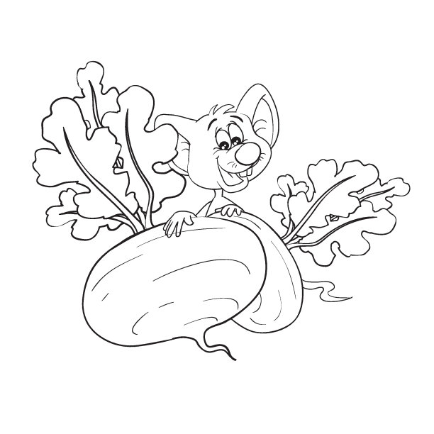 素描，一只淘气的老鼠从一个萝卜后面窥视，卡通插图，彩色书，白色背景上的孤立物体，矢量，图片下载