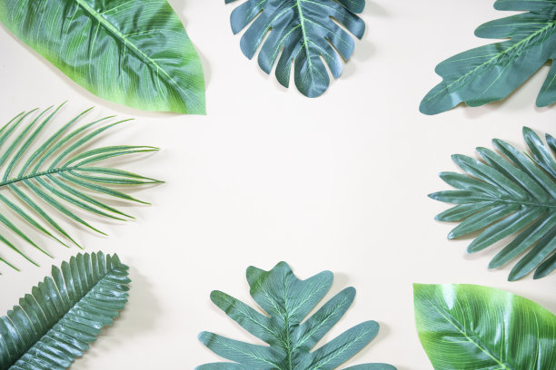 绿色植物叶子的背景图片图片下载